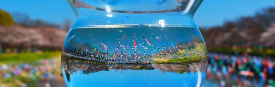 �ٗюs�ό�����