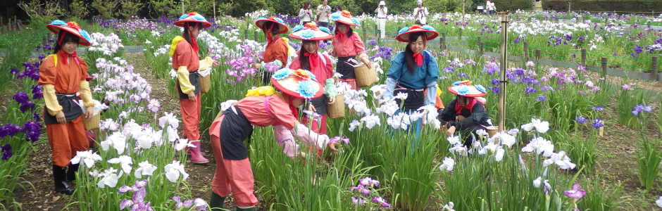 Tatebayashi Tourism Association