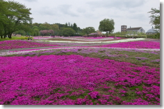 Tobu Treasure Garden