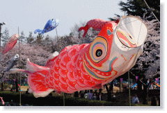 The Village Festival of colorful carp banners